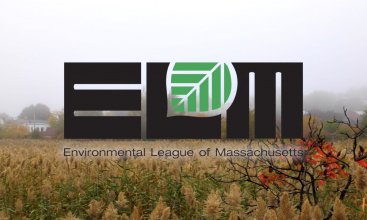 ELM Parks Awareness | Belle Isle Marsh